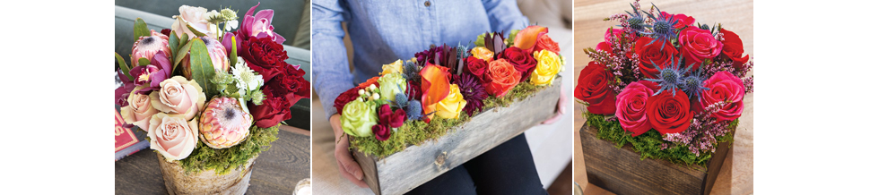 3 Things to Keep in Mind
When Choosing an Online Flower Delivery Service
