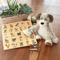 Scruffy Dog & Puzzle